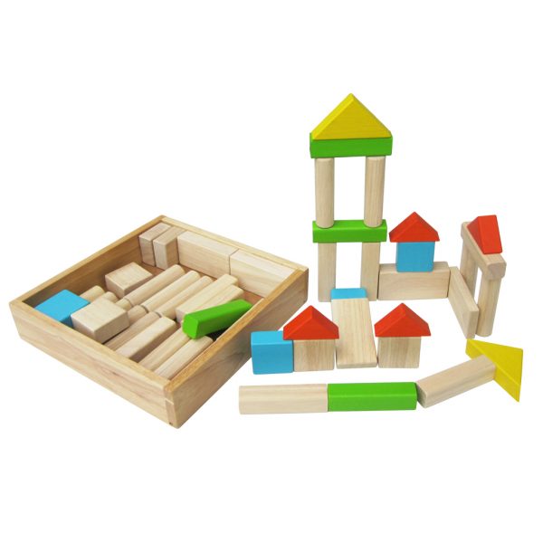 50 Wooden Blocks with Tray 2